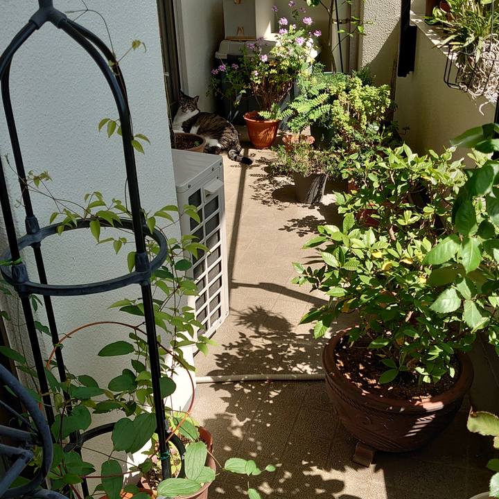 9b4a10a3 f6ba 4089 b22c 8fb648496982 1682643343012