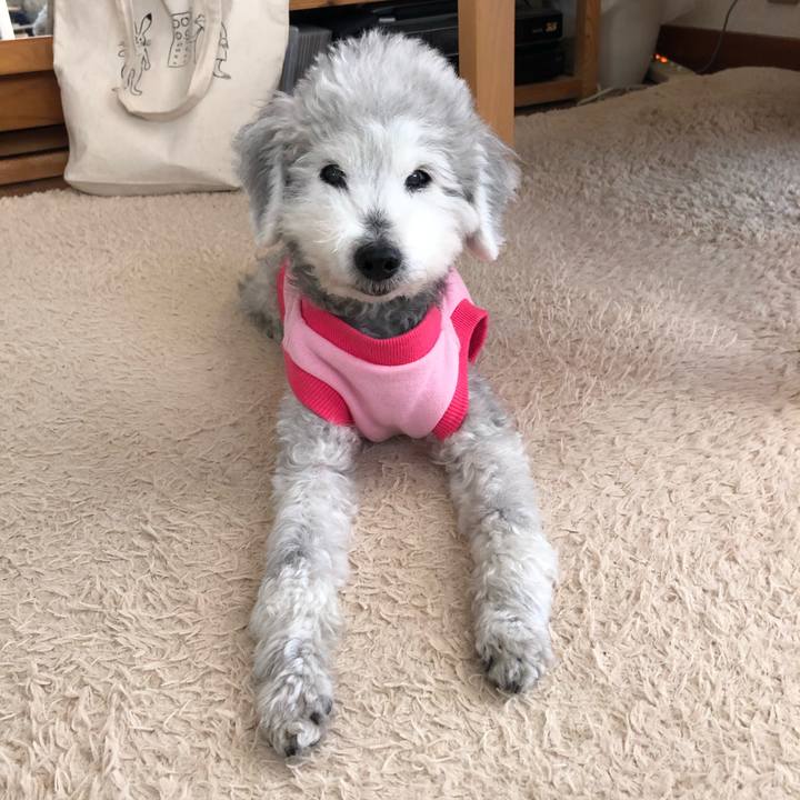 9b4a3819 7cc0 498d 81fd 170ff7bfd61f 1617754876310