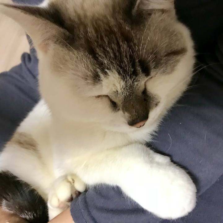 9b4a88a3 129d 48ee b8ca 162437d420df 1514461338474