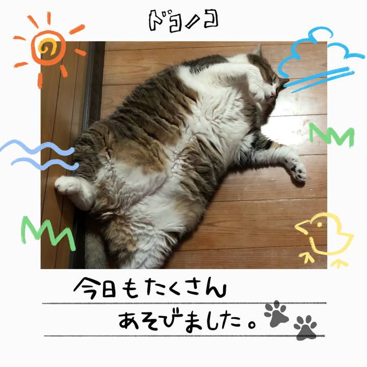 9b4a8949 05b0 40c6 97fa b8d92485cf55 1755141018489