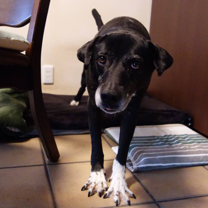 9b4a8ddb d776 4c0d ae0f 6f8d28262183 1741950350375