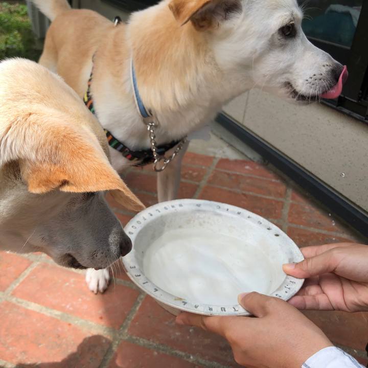 9b4b1120 47cc 4c4e be64 c0be54660d6e 1631078698688