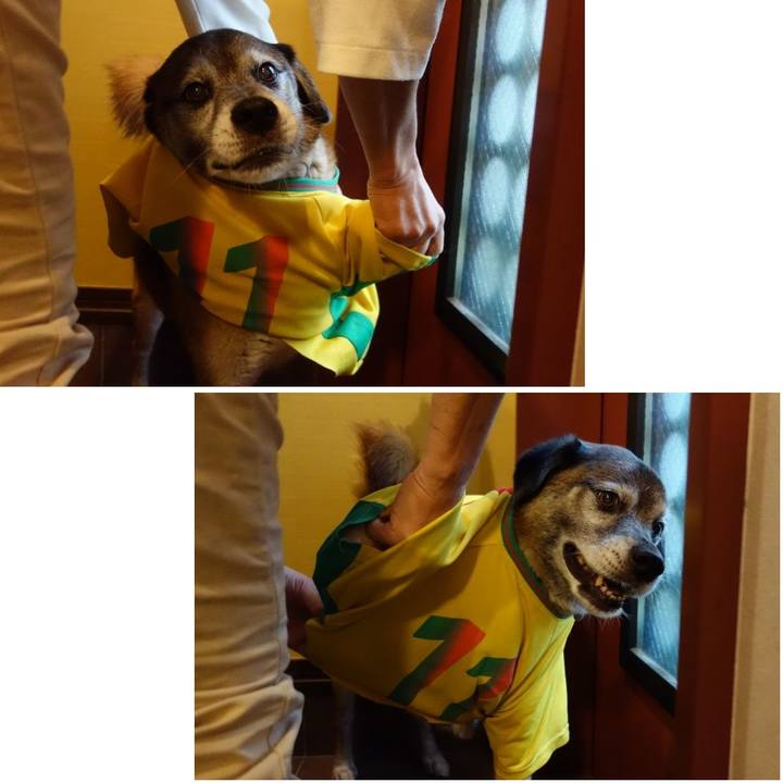 9b4b2361 c000 4c94 abcd b7503c679e0a 1562929732859