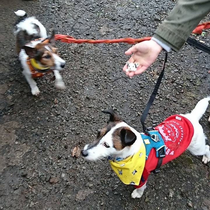 9b4b2fdf 462e 47f0 a8f8 eaebe95c26a4 1556401131035