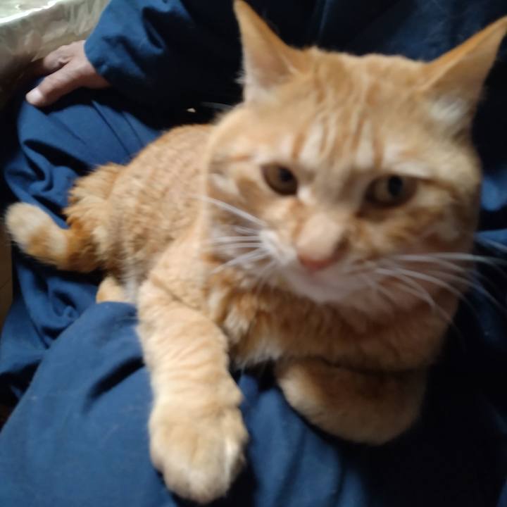 9b4b39d2 0707 45b6 ad6f e80133b6630b 1682160346247