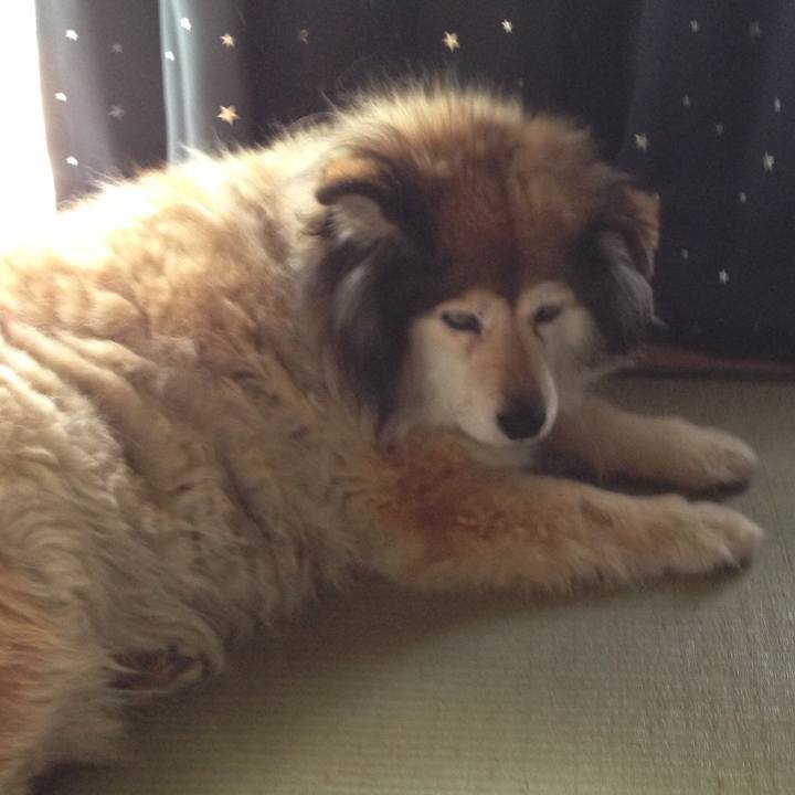 9b4bacb3 ce6e 4a8f b99f f3b8d7b15c20 1551516278573