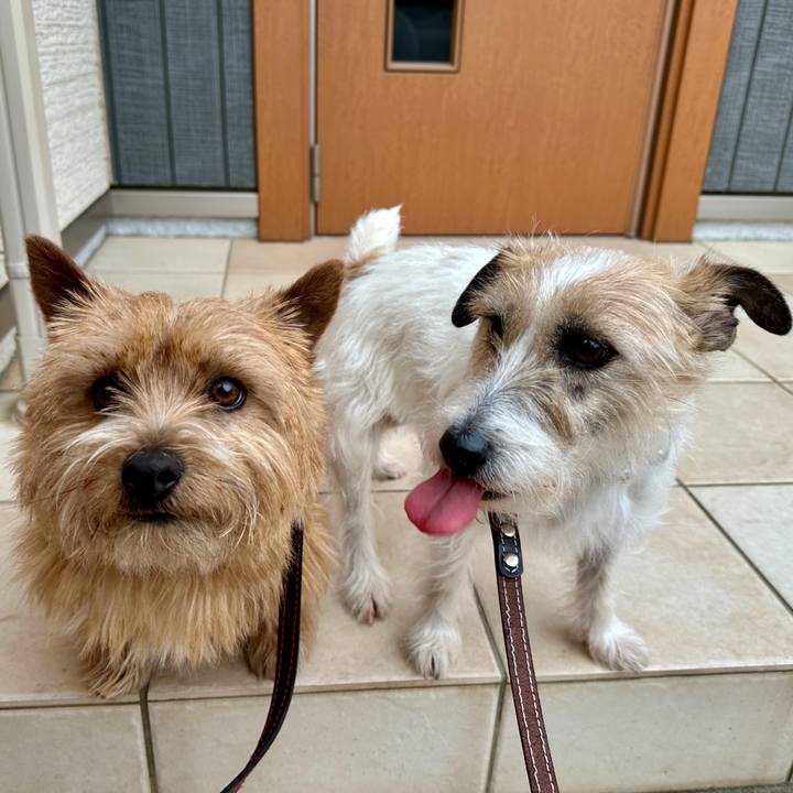 9b4bbaa2 259b 4d29 956b eecc65fd0c2a 1774796575475