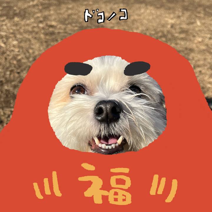 9b4bc397 9b73 4ba9 bf35 aecb8895a615 1771838091718