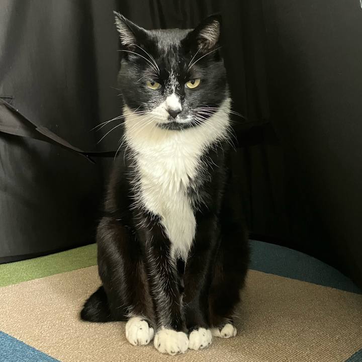 9b4c0208 3690 4628 bb22 a1703bababca 1733024842285