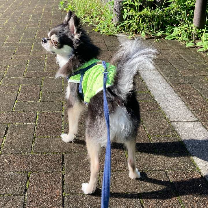 9b4c29cc 93bd 4507 af48 8c819707d8bd 1688310464570