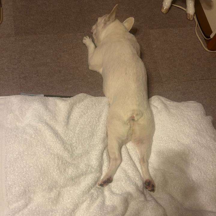 9b4c79da a112 4bcd 99b4 df89ec809da3 1754920069334