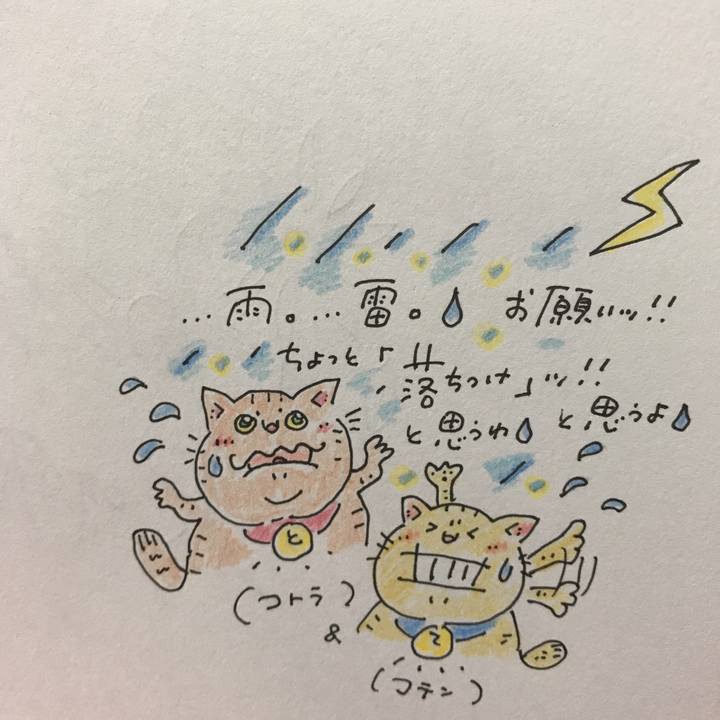 9b4ce32c 34d3 4f7b af0d be375d92f8bc 1567156792988