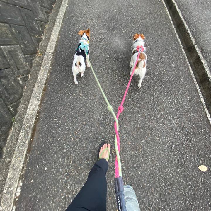 9b4ce3c7 a6ab 445a b914 3a4f30949603 1753136153861