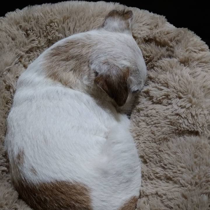 9b4d192b 31bb 466c b365 ad1aae391111 1738155967347