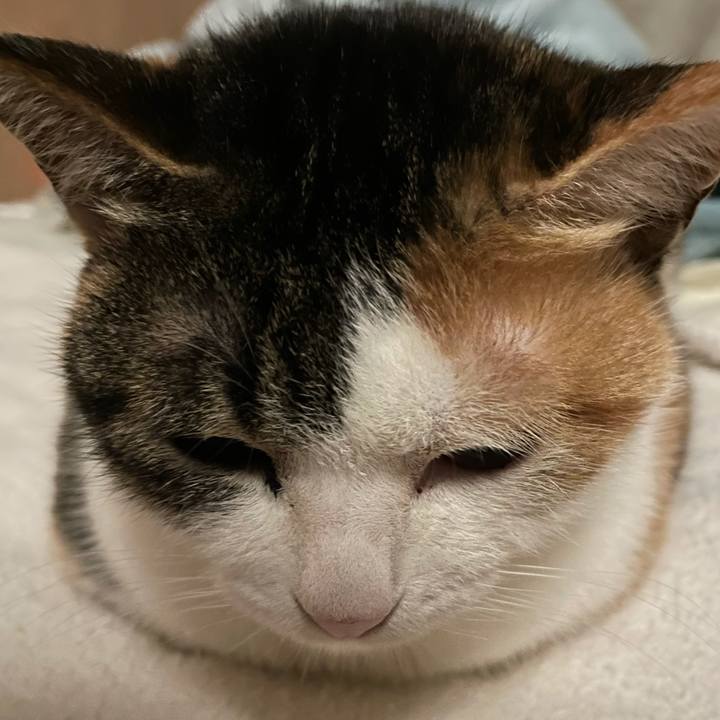 9b4d5890 9ba7 4f22 82e3 86a72ec2fdbd 1642676063914