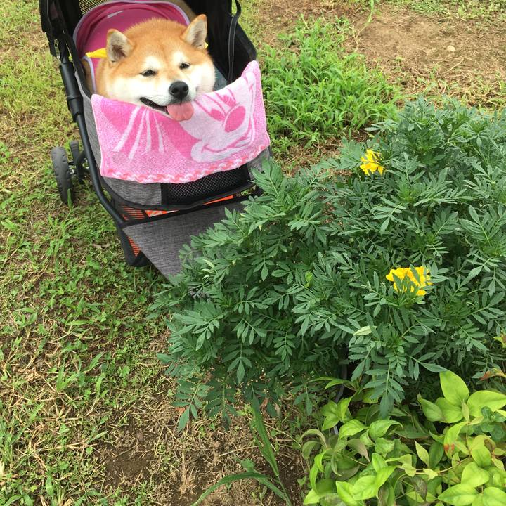 9b4d5c35 bdf1 4bd3 a97d 28922fd02f8f 1567337587526