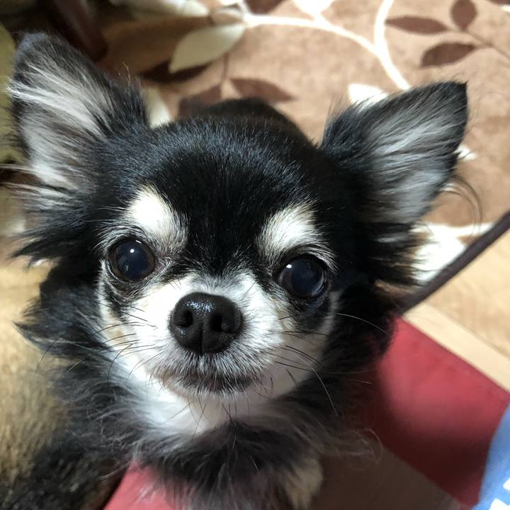 9b4d7498 3f86 426c b141 7c350908ec2b 1541642813918