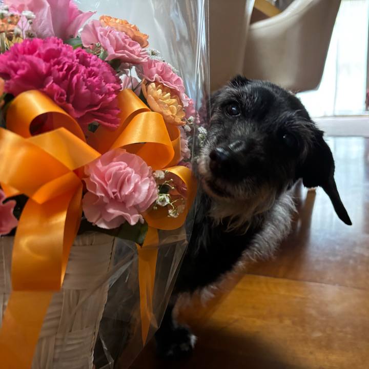 9b4dd5fe bd1e 4745 a47a 407f4dd10694 1747005439011