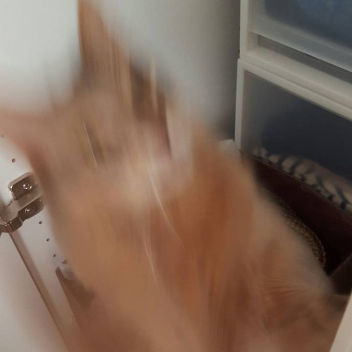 9b4dec54 f319 46e4 ac5a 61ac9edb5a7e 1526128333061