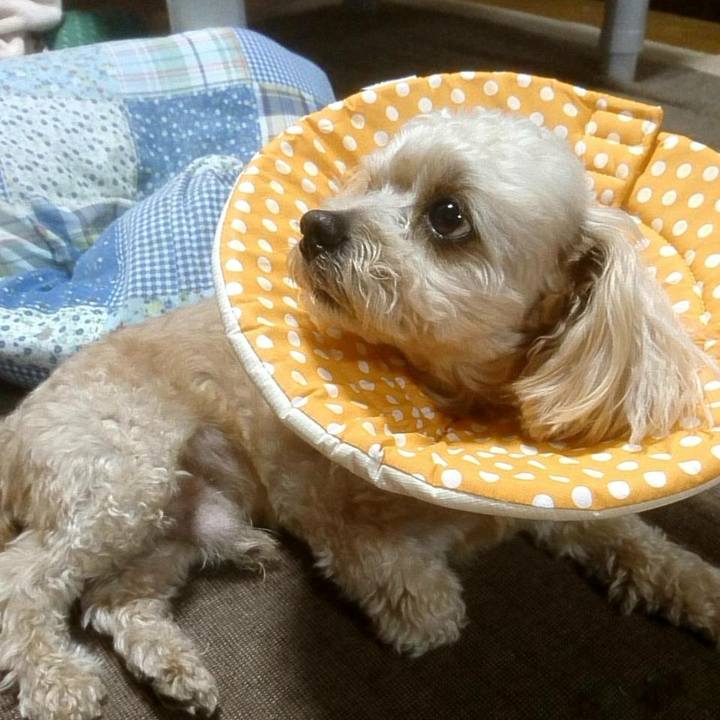 9b4e21c9 33dd 4bd6 bbfd b6644ea88f7e 1561465500428