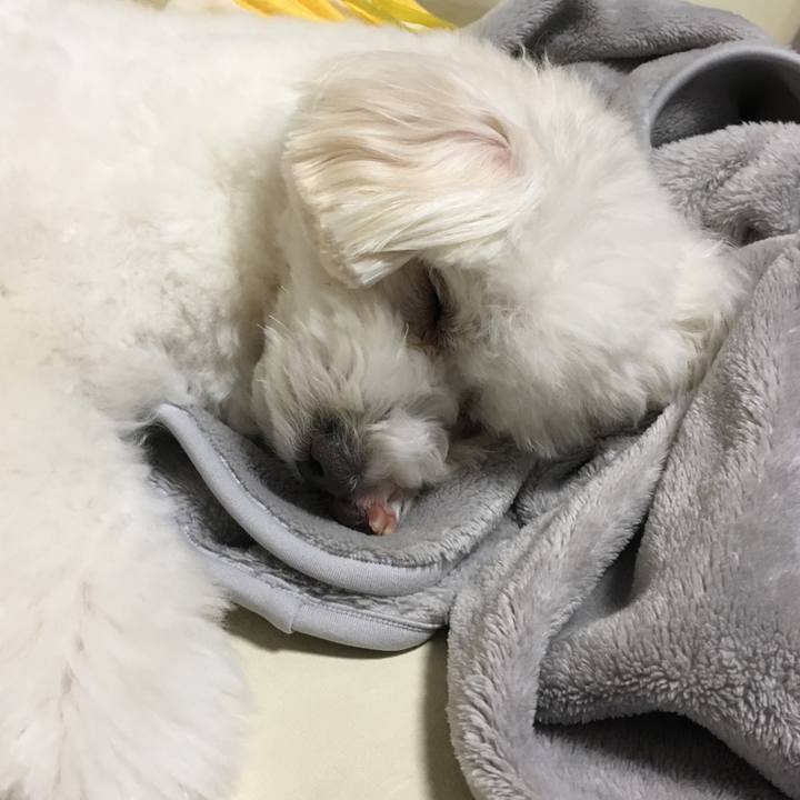 9b4e2462 c62f 49bf 945e 8fd06a26460a 1556543079744