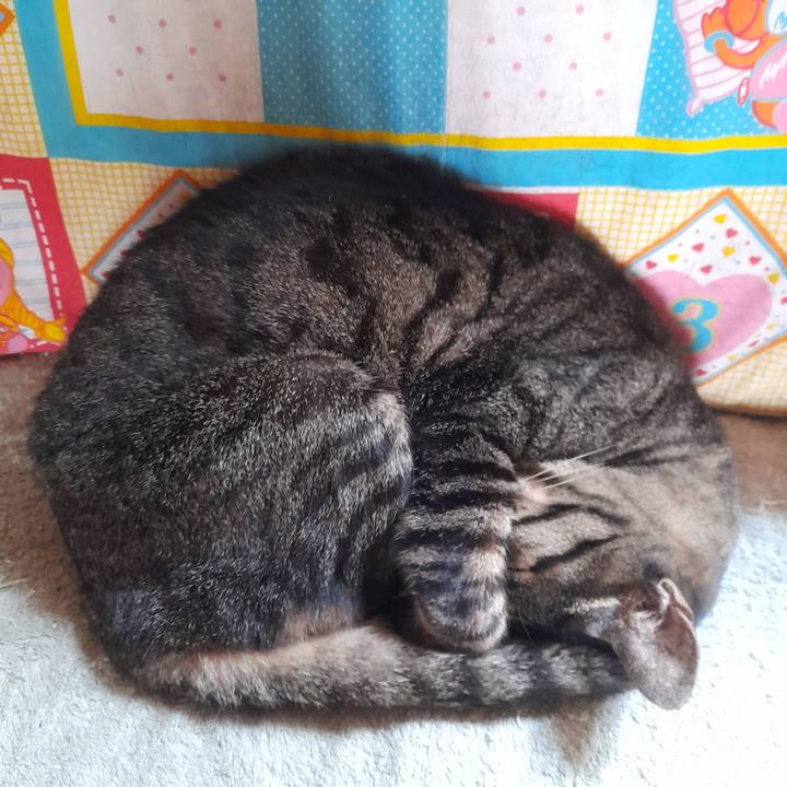 9b4e3f1b 3adc 459f b226 375b7040817a 1764725956311