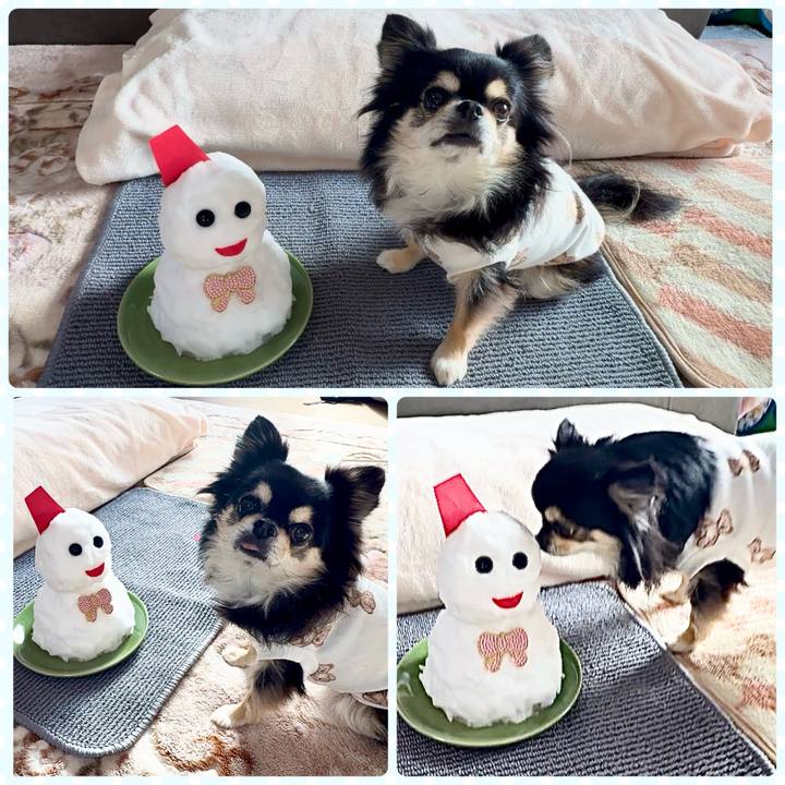 9b4e4d04 c5e0 4b24 b084 69c2caa1c0f0 1736472027729