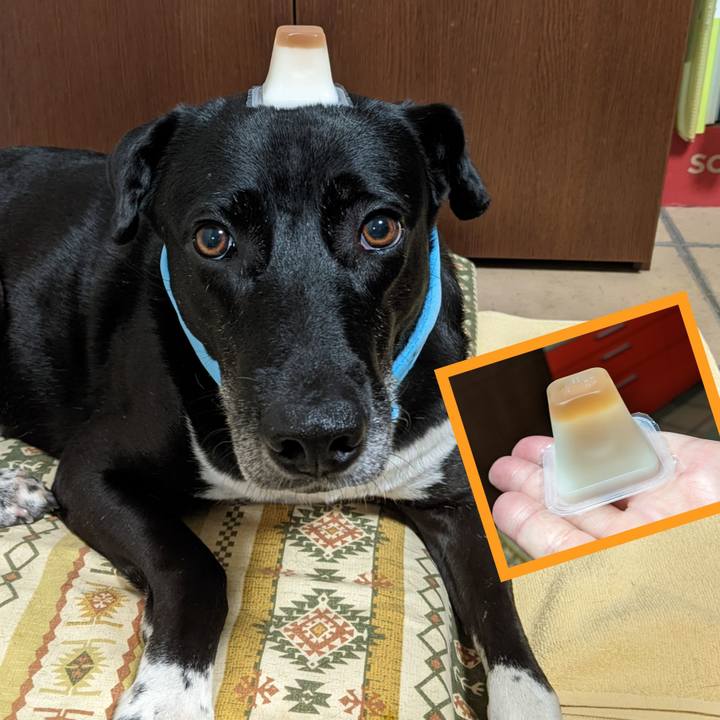 9b4e88e2 cd4c 4bb3 ad3e 53c2cd040ccd 1656415470133