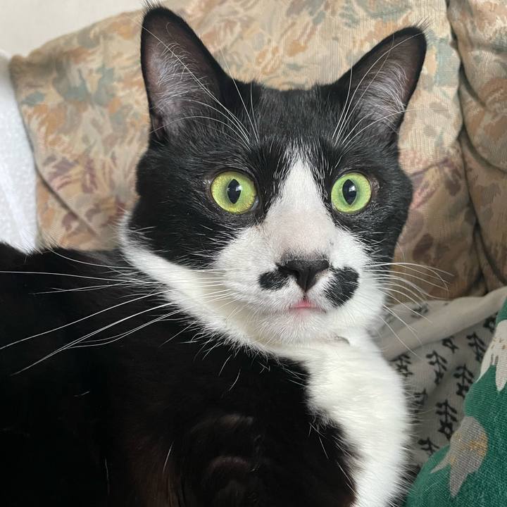 9b4ea758 ba79 47d7 a4a6 0c5c3cba4eef 1674799203584