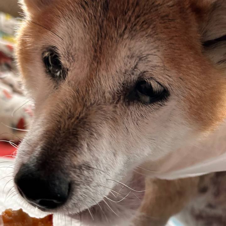 9b4ec4b6 a86f 4295 8027 b84b92e209f1 1763432804070