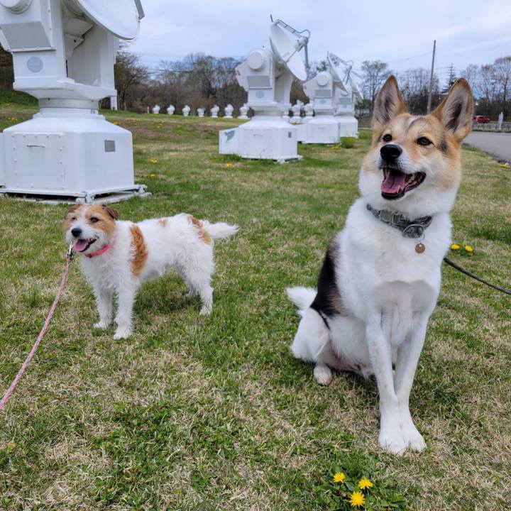 9b4eee5e 7195 4629 bc56 1dd1d0430c45 1683090402969