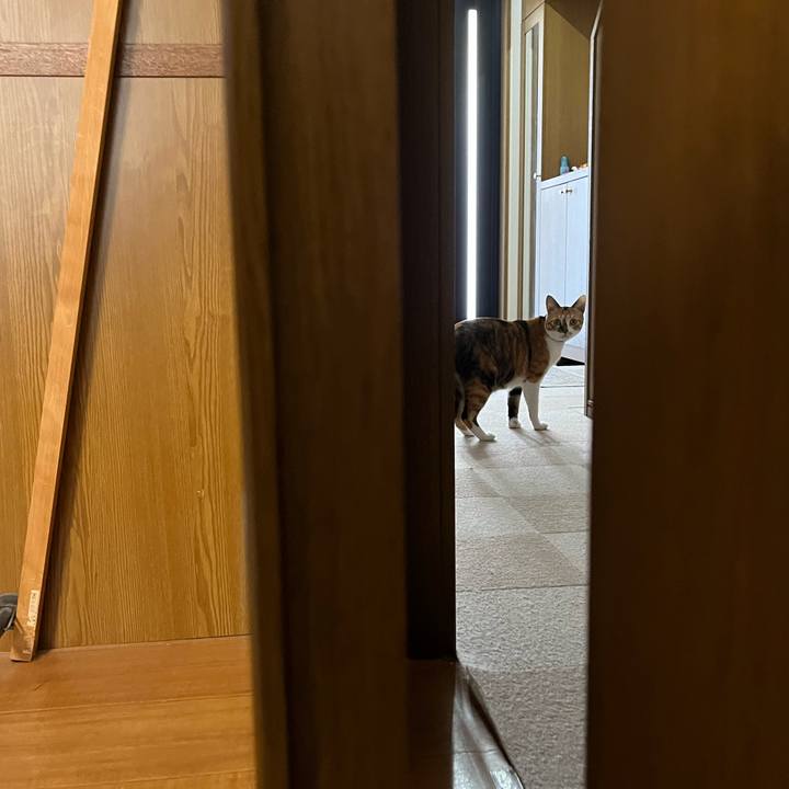 9b4f1ab7 3494 4521 ad60 558a9c1f09ba 1755297720326