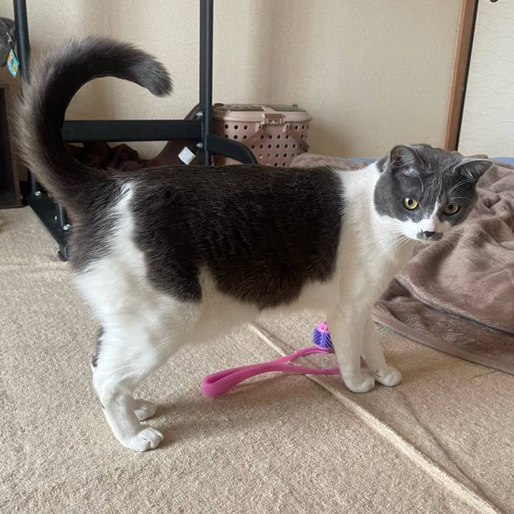 9b4f31e1 50fe 4f6f 8b5d c657a08a456a 1649286131428