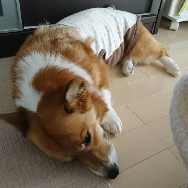 9b4f433a 1d21 4da6 834c 713025612543 1532067371977