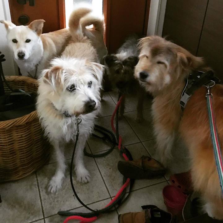 9b4f4b46 228e 4ee9 a527 07634e382459 1642924233193