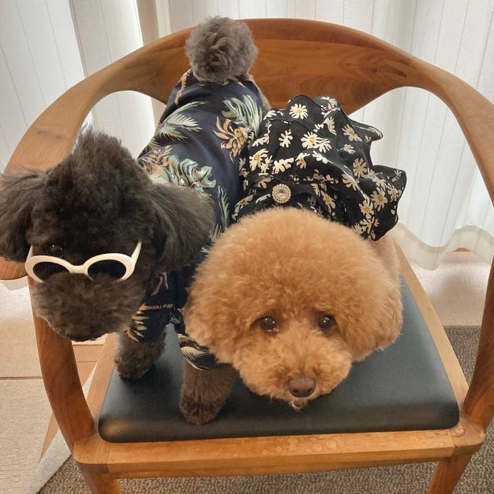 9b4f9ab4 1a17 4003 b4dc 475ebb9dc474 1623254522413