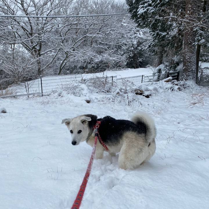 9b4fa6f2 3108 49af 8ab5 9e9f38c6a1df 1770533253101