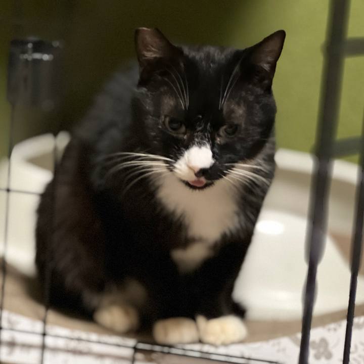 9b4fbe55 5ac1 403d af51 740918c0a900 1676809188278