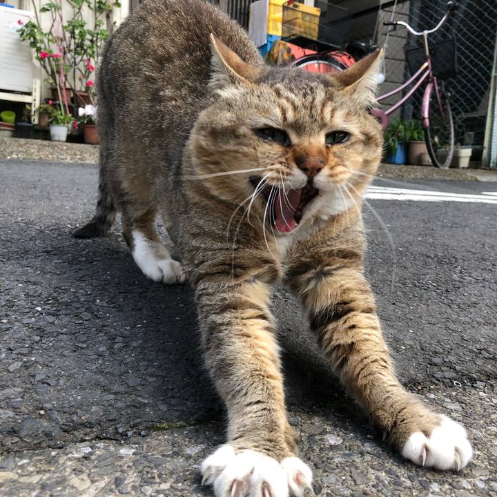 9b4fce6b 428b 4de1 a808 8947bd73c9f0 1554079960354