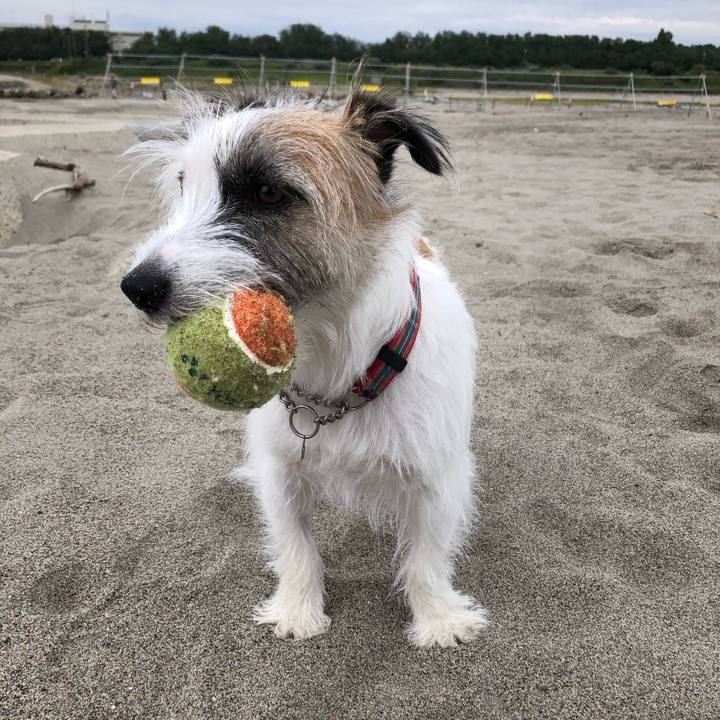 9b4fd542 4137 4e80 91ee 47e70f23817e 1601506185620