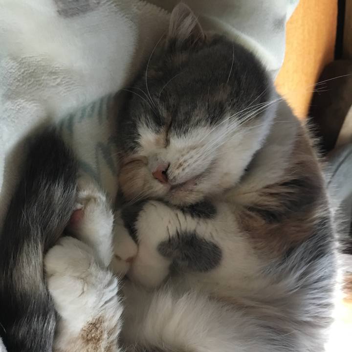 9b4fe1d5 e5c1 442a 96dd ed91deb2f5b7 1573037223332