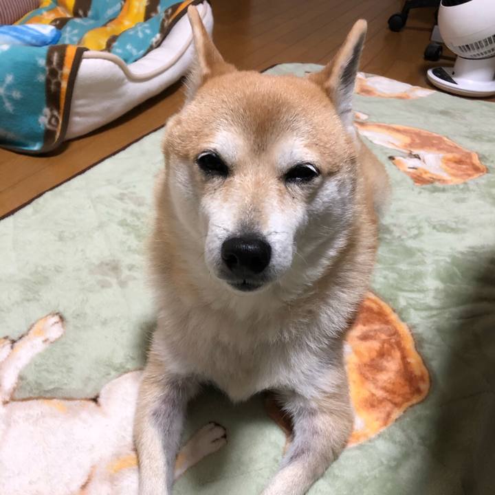 9b506035 380a 41ae bdb0 f8a58d6ae3e2 1576633887254