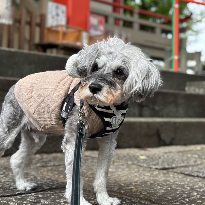 9b508488 6ea2 43ed a6bc 74913f4f1c46 1761223305839