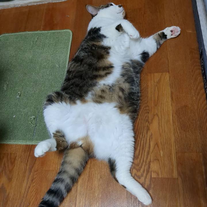 9b509050 5024 4f74 bc57 31568cb04ff0 1726175504087