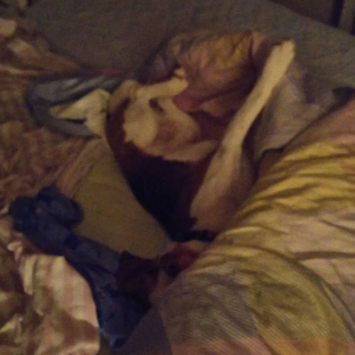 9b5093f1 e17e 44be b28e d203023c95e6 1573142296235