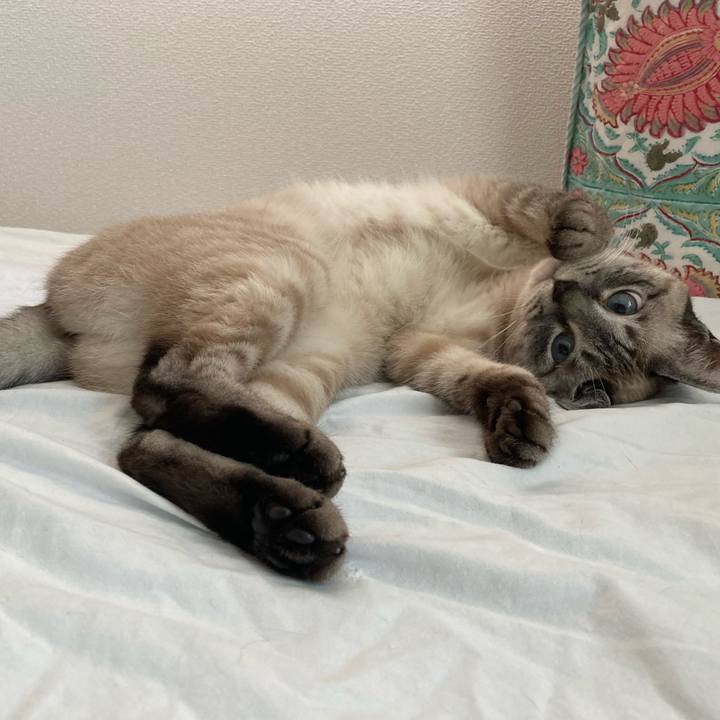 9b50ae1b 559f 4e3d a9fa 081d80cdf25d 1623548308849