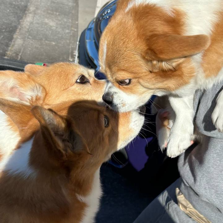 9b50d285 0046 4be0 bfa4 05148296af94 1737091042178