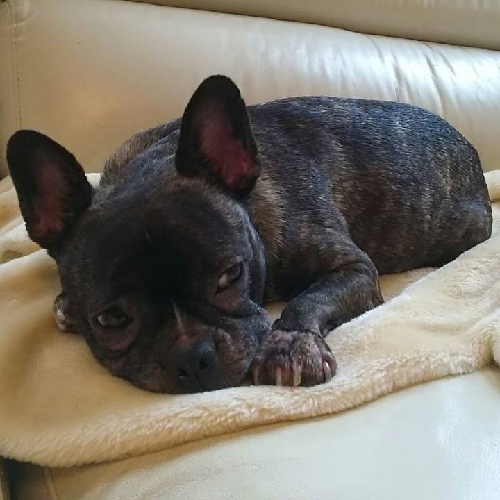 9b510765 7ba1 4ace b328 b64e3e5b2d1a 1537610348713