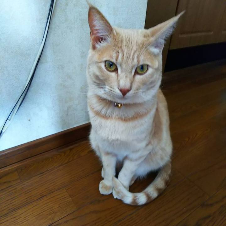 9b515ac6 5812 4d79 b72c 704ea379c495 1556674844583