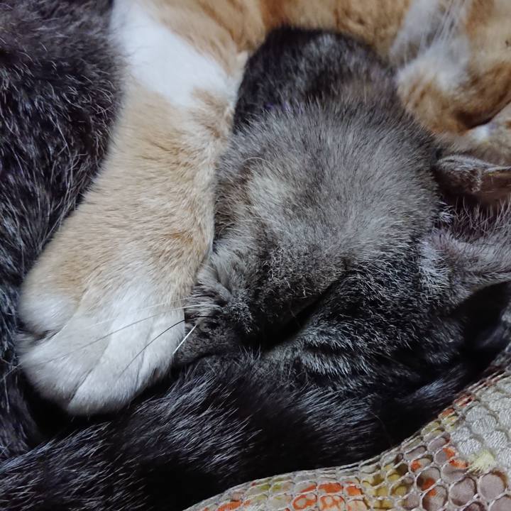 9b515fd9 53aa 4e0a a4ca 2e942bb3a810 1578402850821